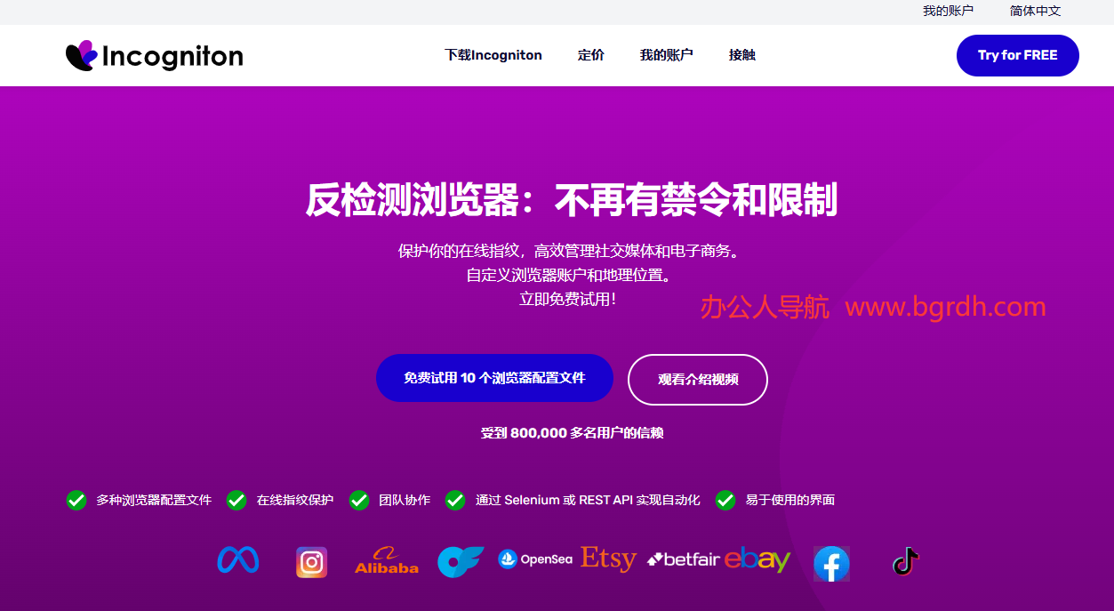 Incogniton插图