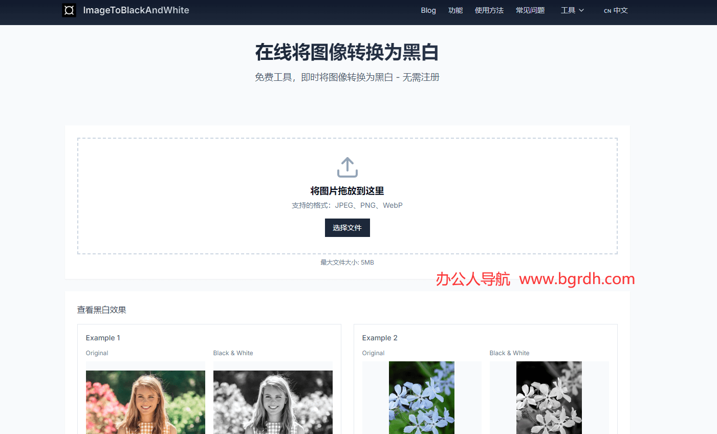 黑白图像转换插图