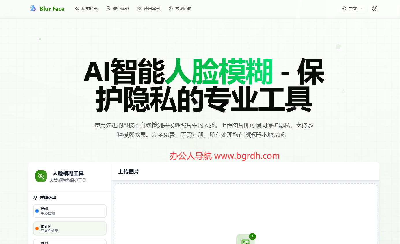Blur Face插图