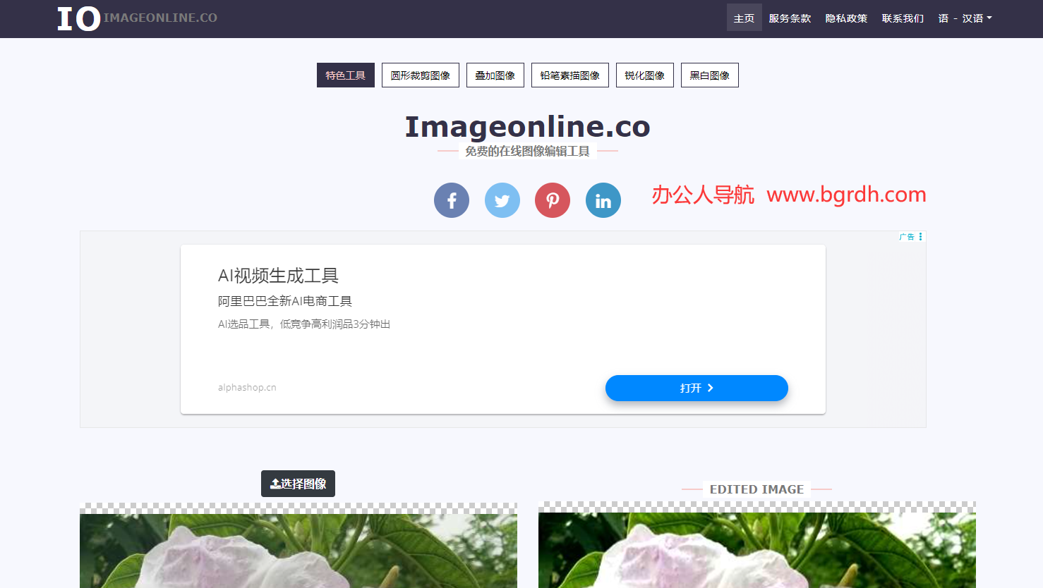 Image Online插图